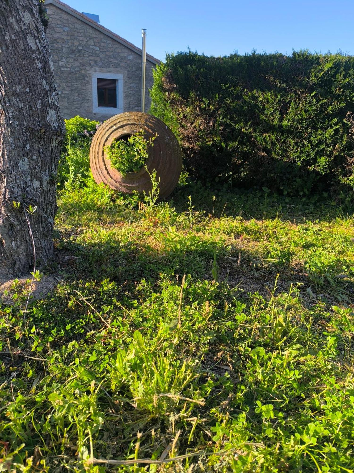 Aldeadávila de la Ribera Cabanas Miraduero מראה חיצוני תמונה